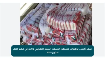 سعر ثابت.. توقعات مستقرة لأسعار السكر التمويني والحر في مصر خلال أكتوبر 2025